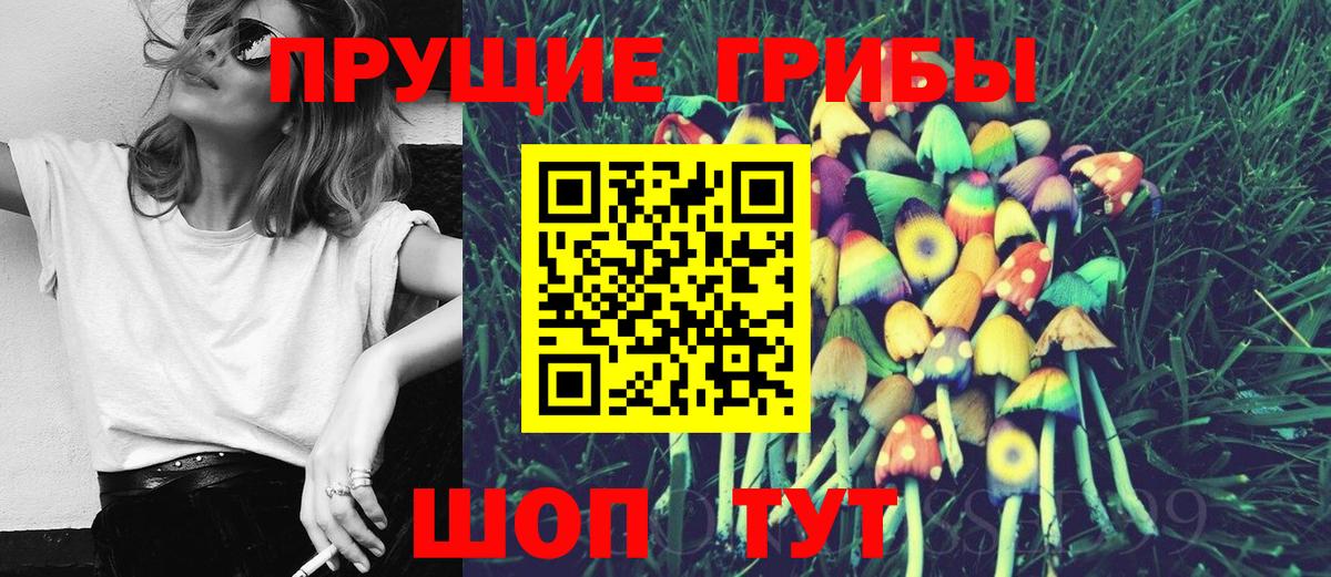 Псилоцибиновые грибы Psilocybine cubensis  Вход с VPN  Кинель  Псилоцибиновые грибы Psilocybine cubensis 