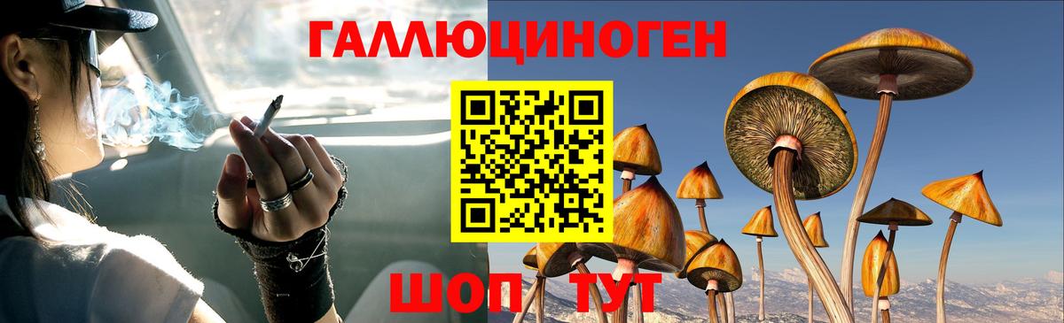 Галлюциногенные грибы мухоморы Кинель