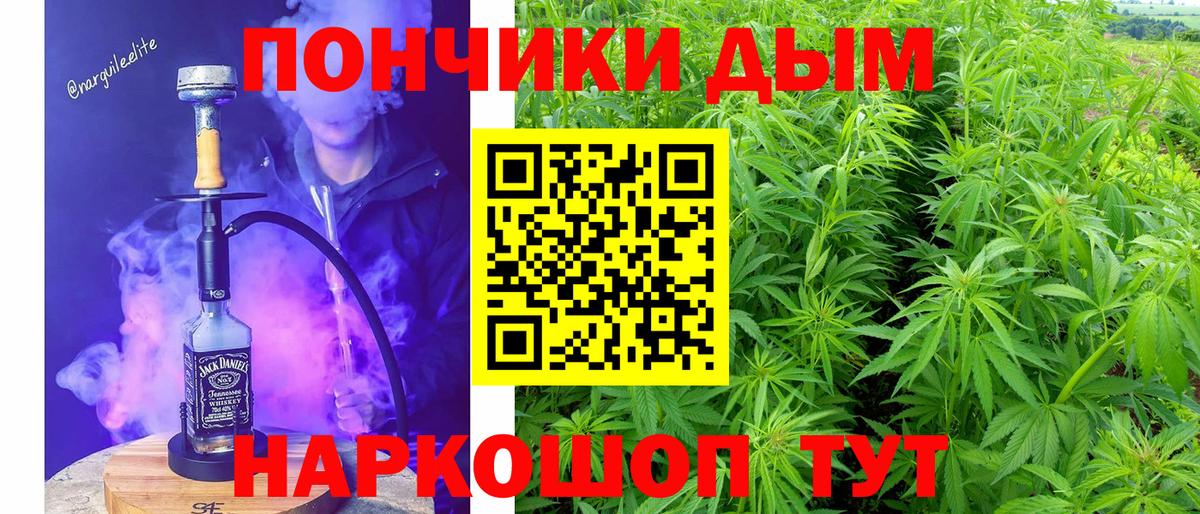 Канабис гибрид Кинель
